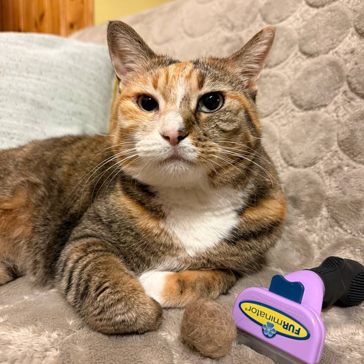 Efa945d1 d73c 4940 b9ef a5e930b23f40 1767091744446