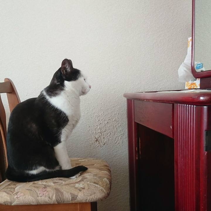 Efa9d484 7e2e 49c7 9778 e3fcad6bff05 1510672533752