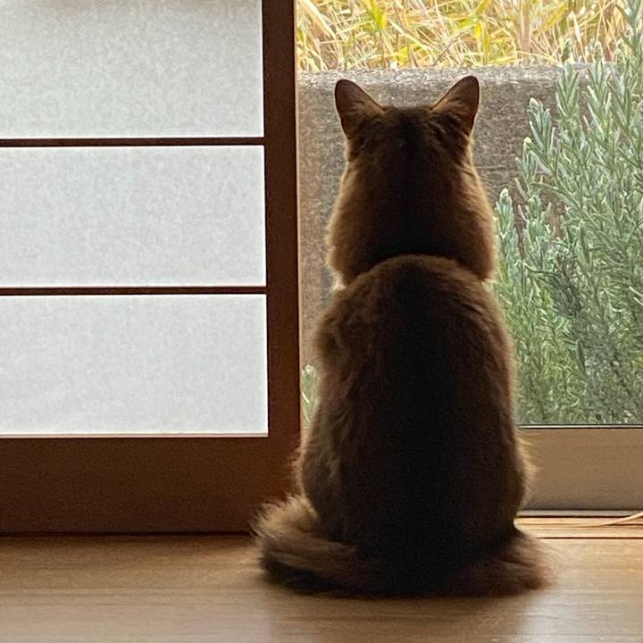 Efa9e755 ffc0 4cac bca5 1935aba4dcae 1675322698677