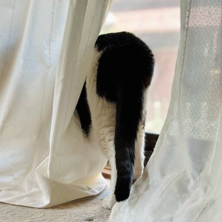 Efaa0d56 6b06 4581 a9bd b0dd6aebaaca 1696814458889