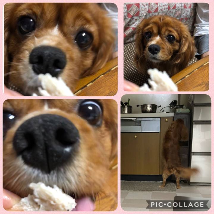 Efaa1dc2 0ffc 40c7 bf22 a7ae445c8775 1594816810692