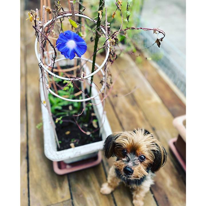 Efaadca6 b028 484e 8ae8 b11a7d4c0b73 1696117349091