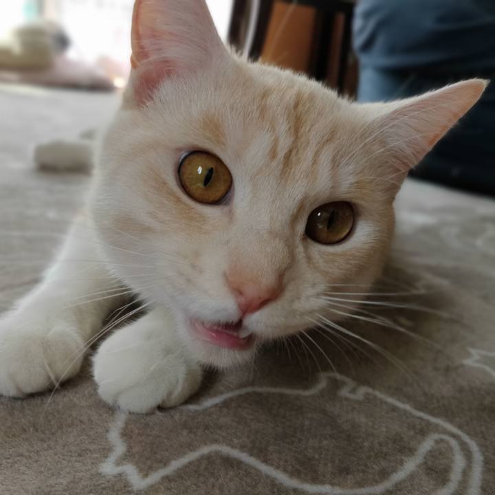 Efab24ee b689 40de bb97 c5e376b51c83 1650860260591