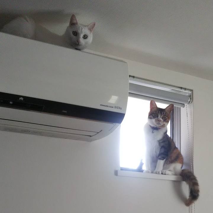 Efab3f93 7fa8 4d47 91aa 8563d9304899 1664515729718