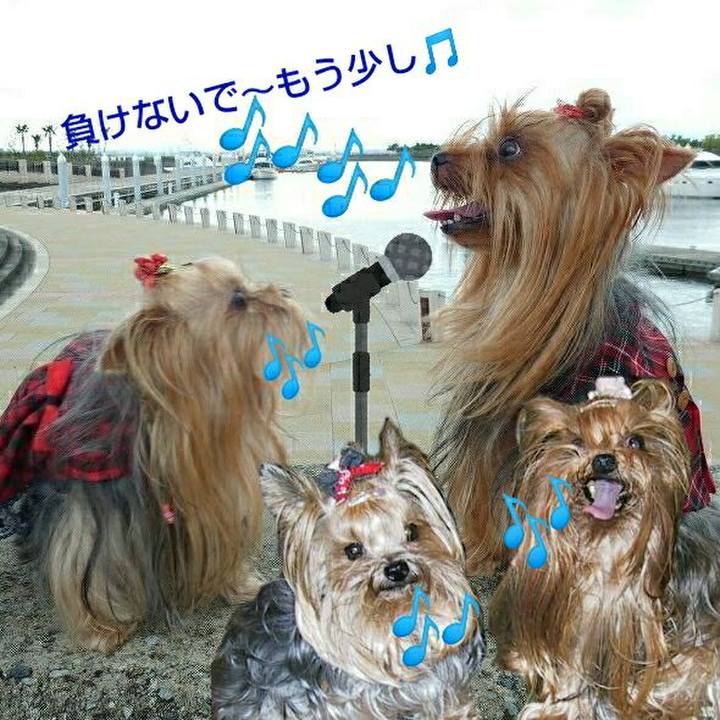 Efab4deb 9dcf 4b14 8ef5 92088343bbbb 1562428507789