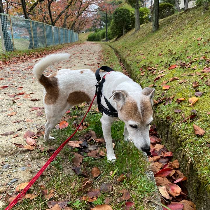 Efab5355 885d 4bf6 b872 144e1e39c753 1604752577788