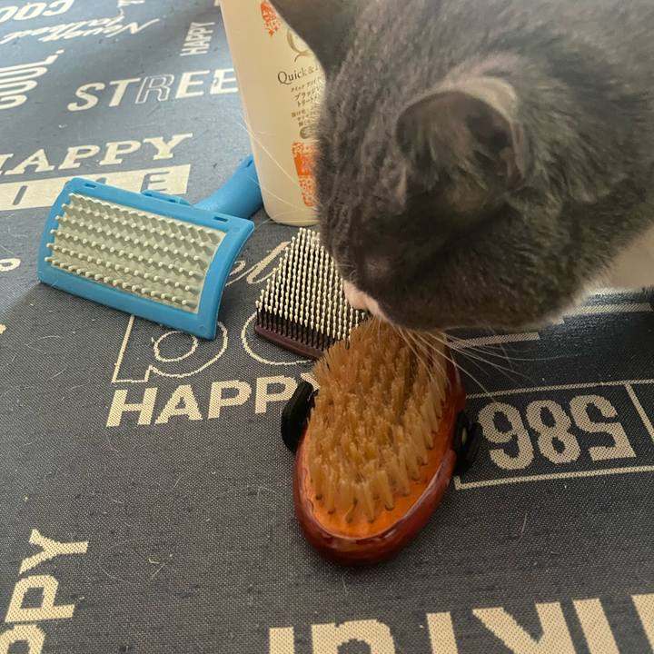 Efab70c0 ebe4 4e14 b206 6fba1a8a4145 1731204442154