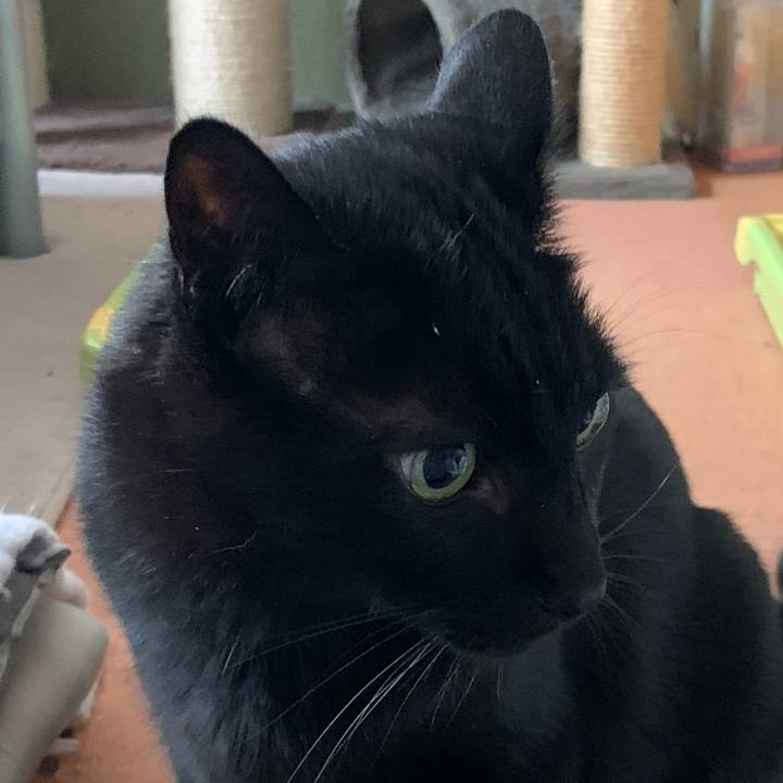 Efab77c9 8047 4c62 bf0a e635594f813b 1577405300618