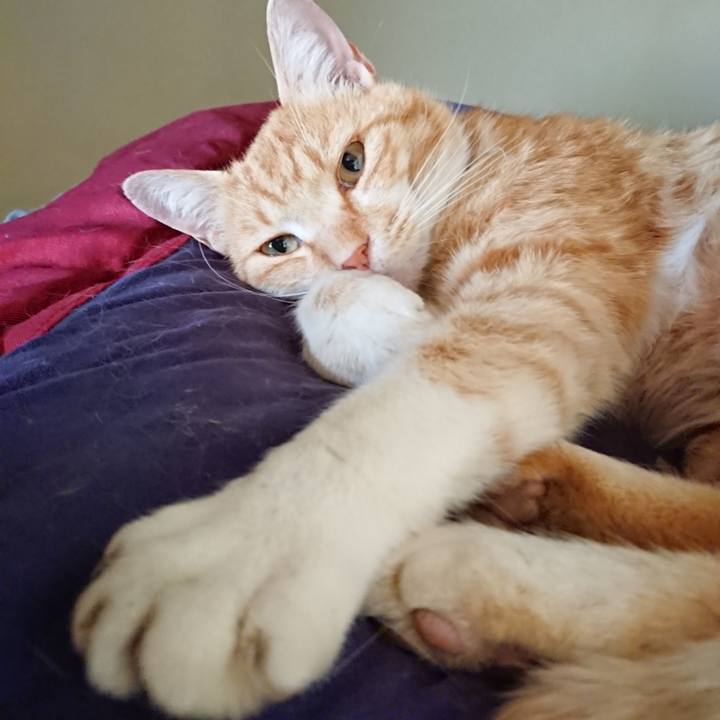 Efab9218 0a10 4725 8c6f b3747b64571d 1590279830511