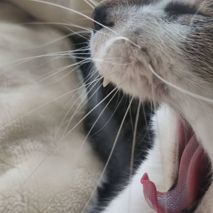 Efaba28f 21f3 481d b065 53430d933136 1611036537002