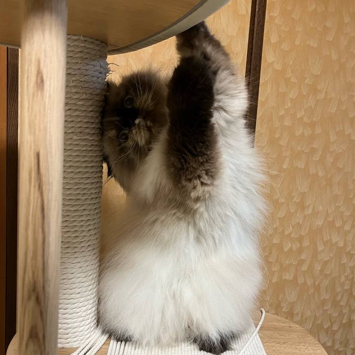 Efabbc19 9689 4f2f be7c c8f611f2c051 1692963957262