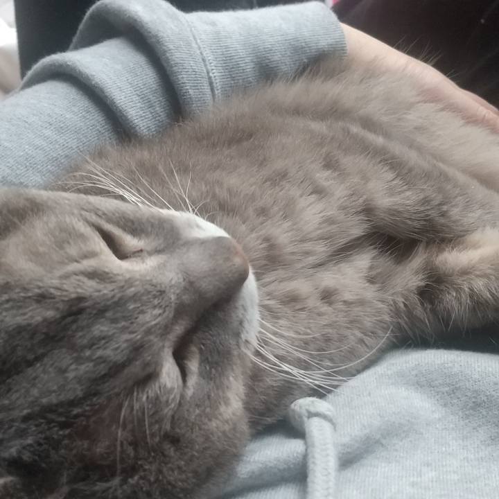 Efabbfb1 c386 4449 a4a9 1177c5d57a30 1700114524850