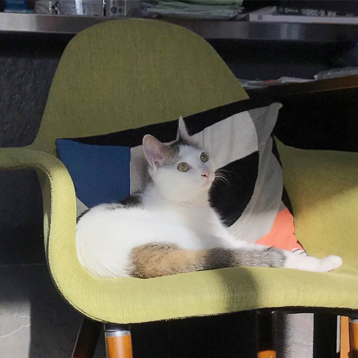 Efabda2a 632a 4922 8e10 6e8ee6c8f271 1542021165125