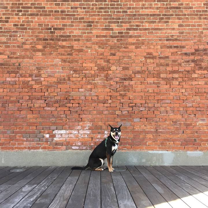 Efac1063 58ca 4dc4 b694 f80862246000 1520668223721