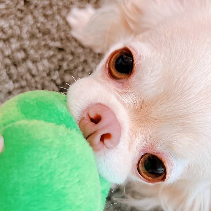 Efac2e21 0101 48ff 8260 3376adc9169a 1656748980403