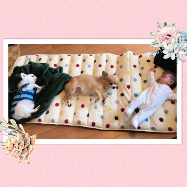 Efac31e9 1be5 4f47 9c1e 96408b991a5e 1509861522799