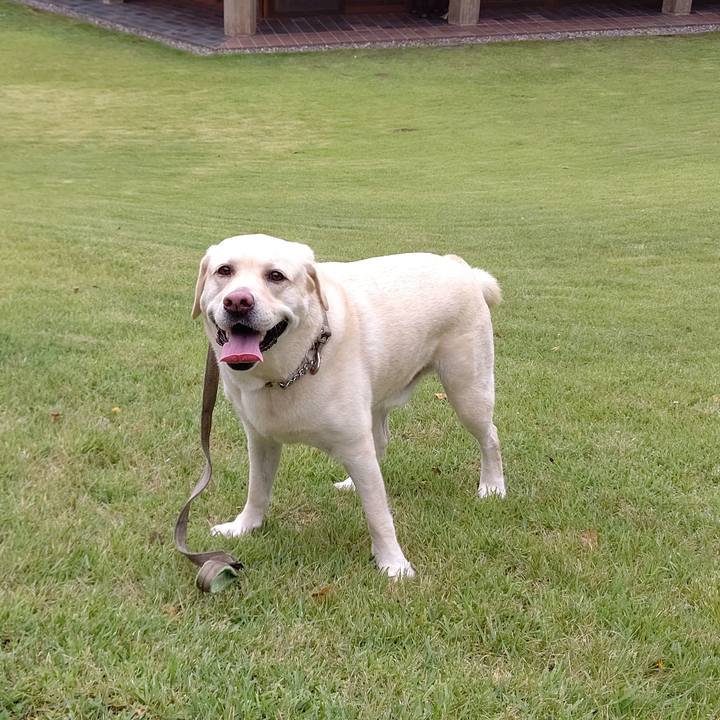 Efac440b 2616 461f bc62 e2bae6c4c99e 1629083232617