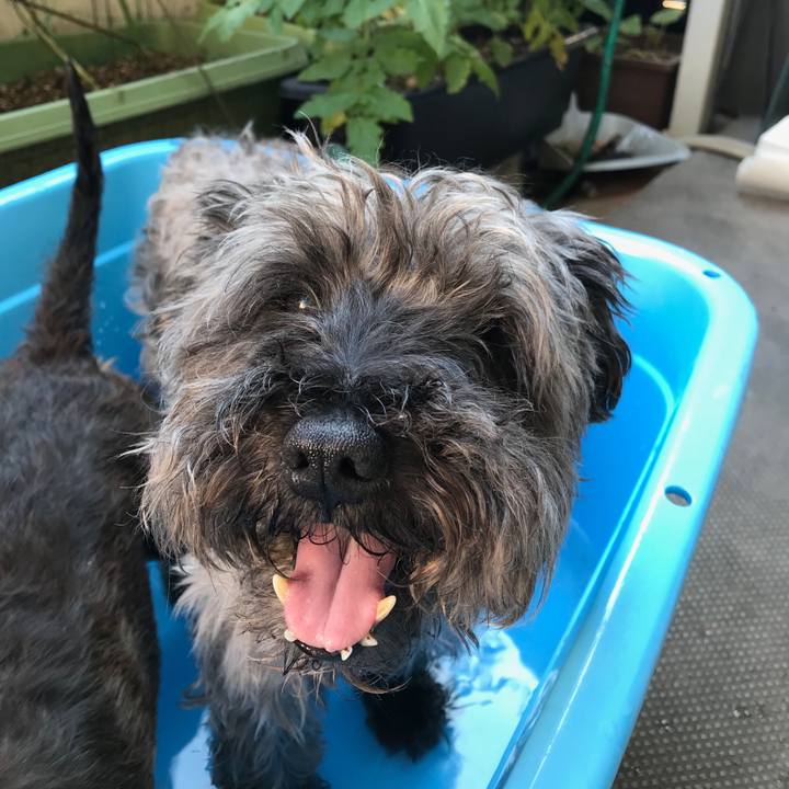 Efac6965 1c72 4ed7 81c0 e6f3c913de9d 1531736104165