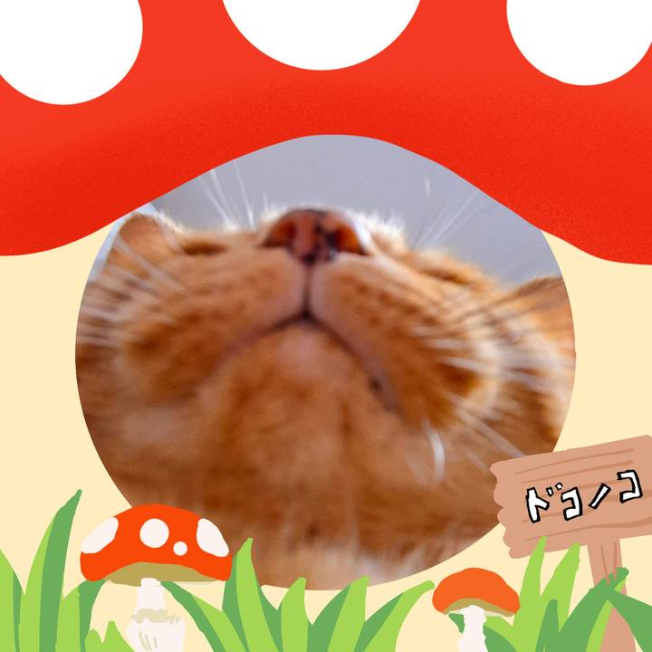 Efac6e3a 65f8 4e46 a7cf ee76e496989e 1729556345926