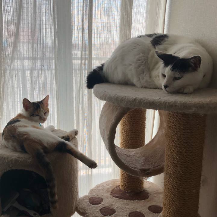 Efac742c c265 42fa a8b8 e3dffe3ea1c6 1565255514138