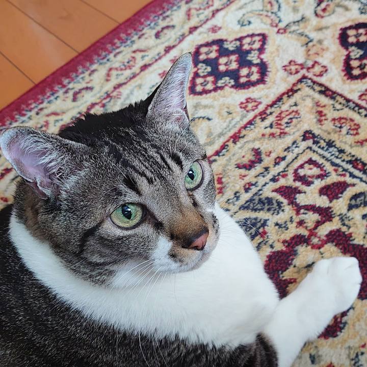 Efac7989 e57b 418f 8113 11b160623c47 1642118219041