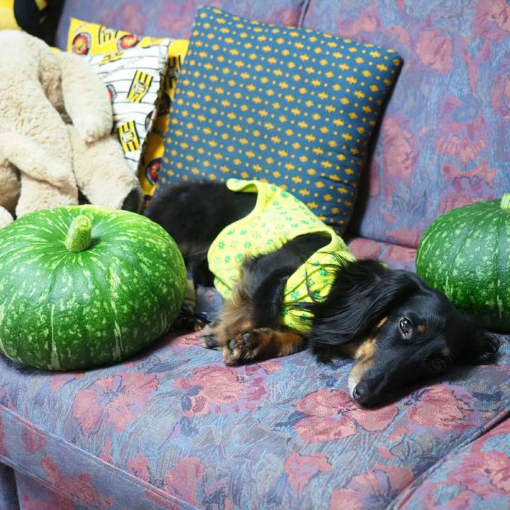 Efac8744 c5d1 4092 8582 d7a027445b93 1561450528867