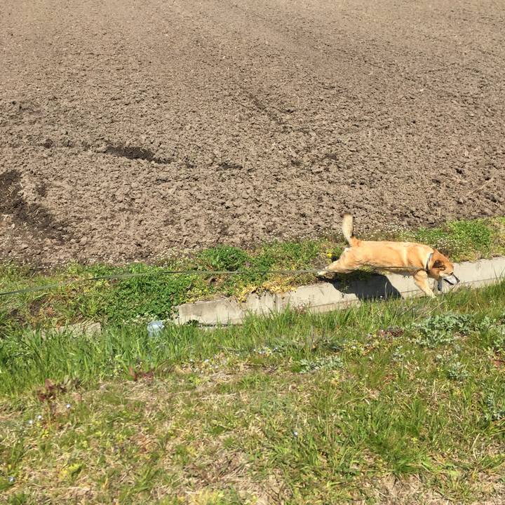 Efac93e9 eea2 48be 9d5a 99357bed4ed2 1554347706298