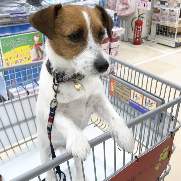 Efacb9b0 23a2 4502 91c4 f1613fd65a0d 1508416686421