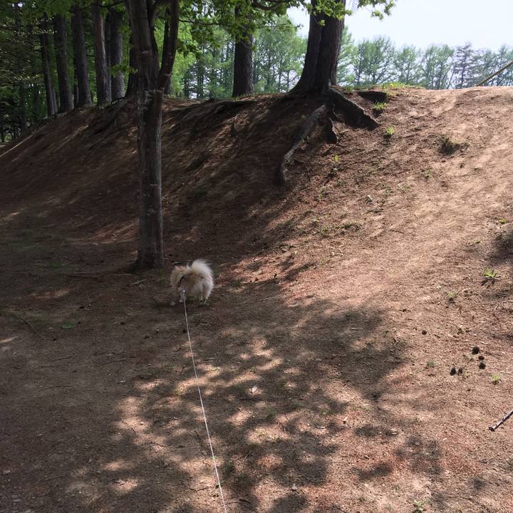 Efaccfdf a83a 48c0 8e7b 95f3f08462e5 1526507740063