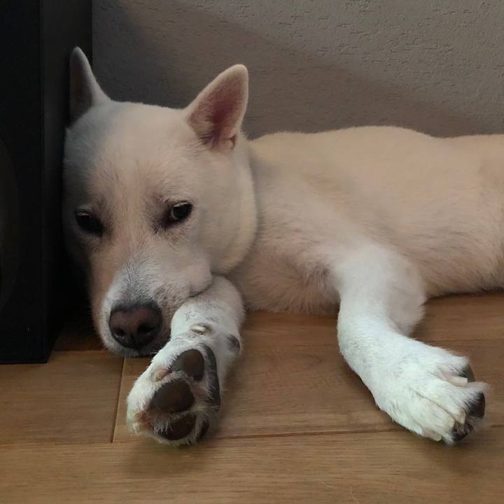 Efacfbad 3f98 4edd b13f e1af73d3b6fa 1594117104100