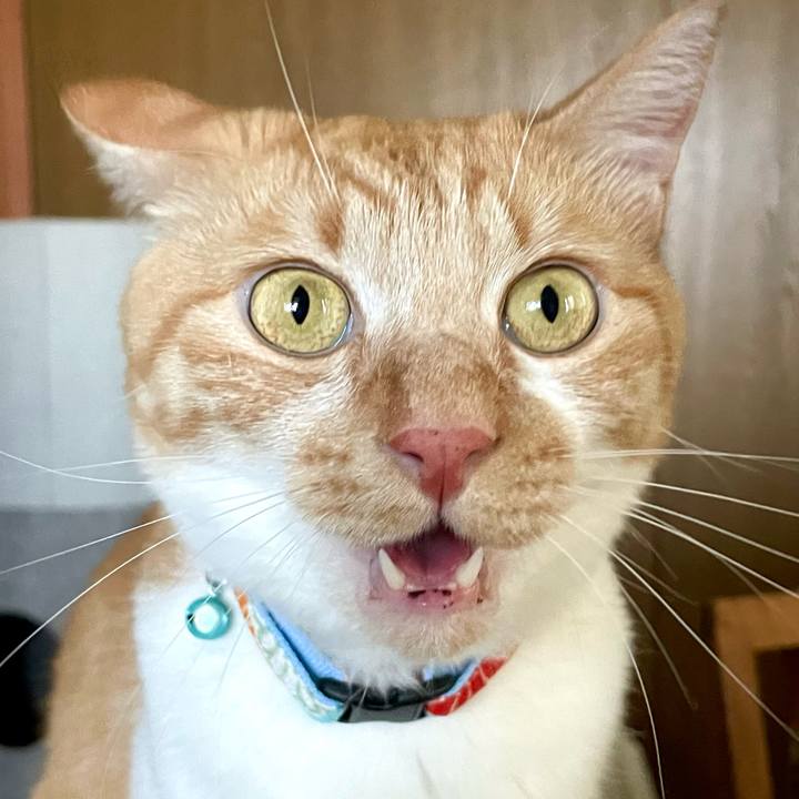 Efad1405 1734 48f9 87ba 41f2ba719e59 1658547131307