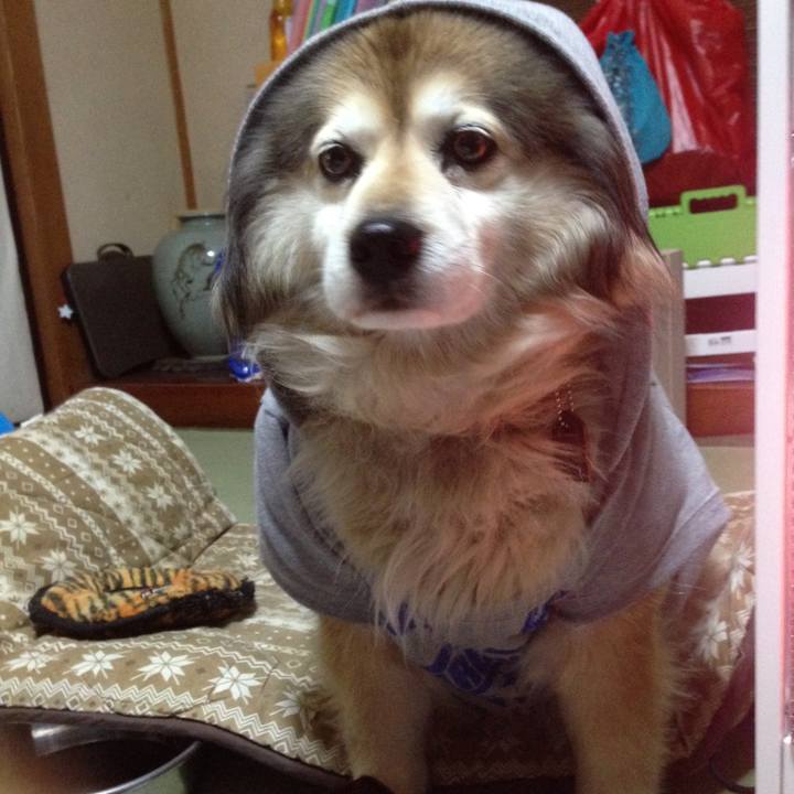 Efad1ed6 66d8 4bdc b795 fd807c7594fb 1552031219991