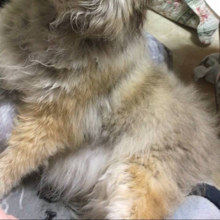 Efad2f5d 8409 44ff 8c08 dfa7c854a750 1606303361377