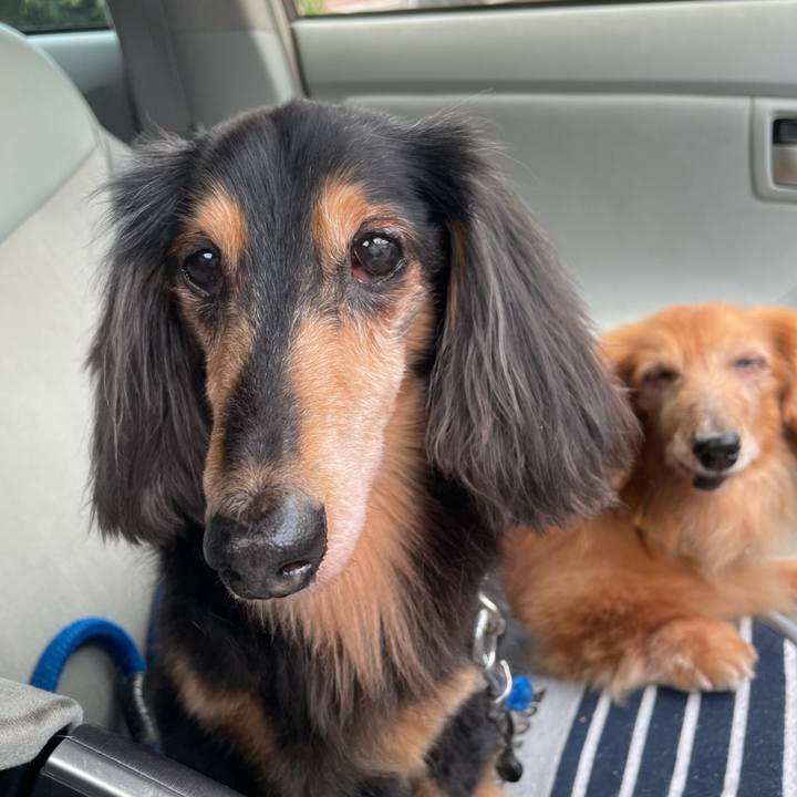 Efad3fc3 8879 4e22 91da 779b44c554d0 1691900297488