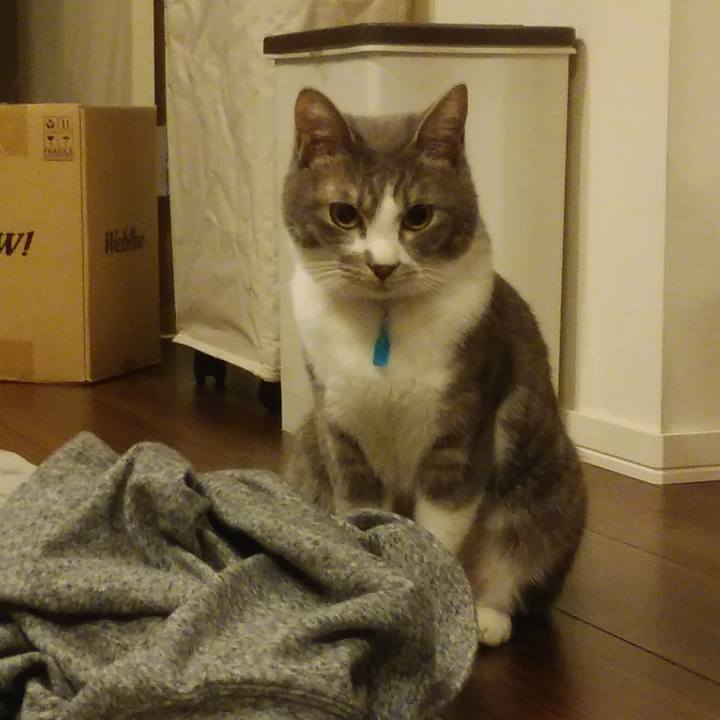 Efad52a4 84d6 4a2d b9e7 0cac6076ca07 1587214977758