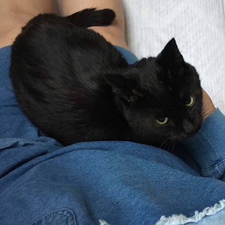 Efad5774 c0d4 46e5 ba27 b1a4ebf44b1a 1551303385123