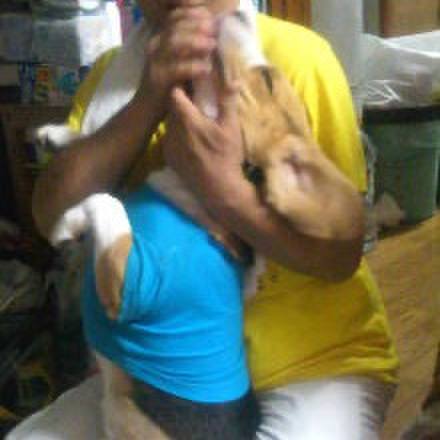 Efad7677 0389 4051 9776 c778a9502d3a 1723502545769