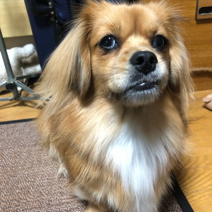 Efad7ba5 1697 4f7f bfe3 9b5df1e5646a 1544350959680