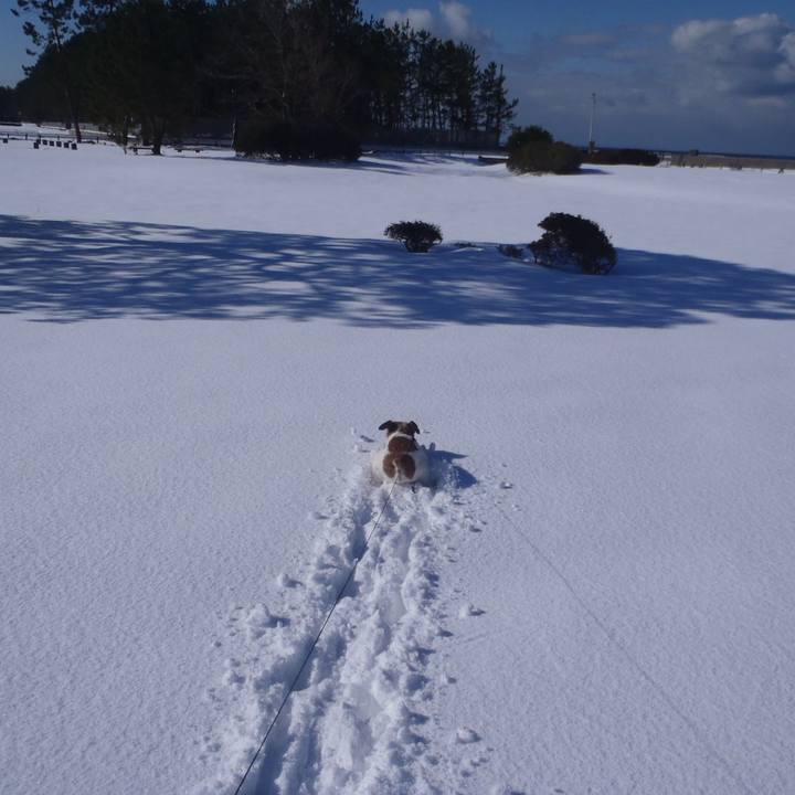 Efada7ad a3e2 455a bf8d 04f770041f9c 1515925523556