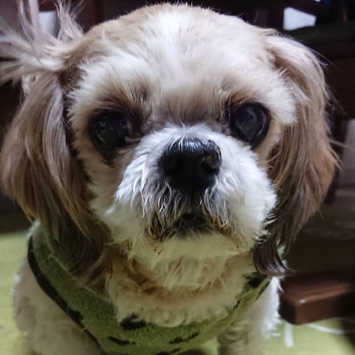 Efadb0b8 3c0e 41fc 8535 83ef62d359b1 1519033637444