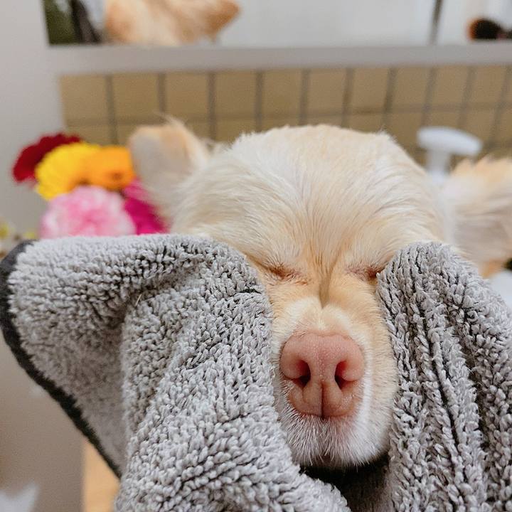 Efae0131 da2c 488c 8264 463d67a1bb8f 1613125567881