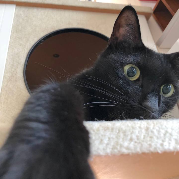 Efae05a0 ad49 4bad 9a46 51a2d3696912 1533914173537