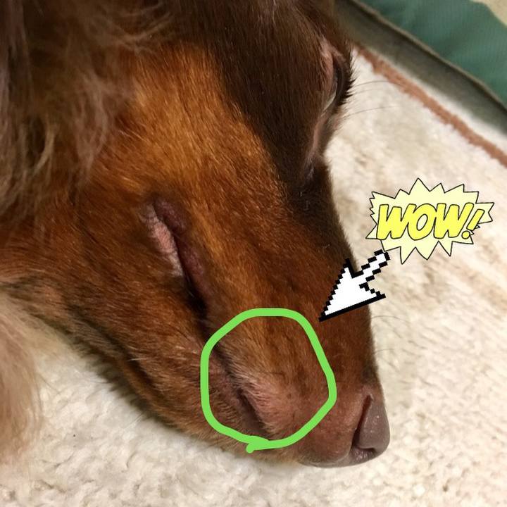 Efae0d0f 0ab4 4c3d 978e 3203b69c07bc 1510395962501