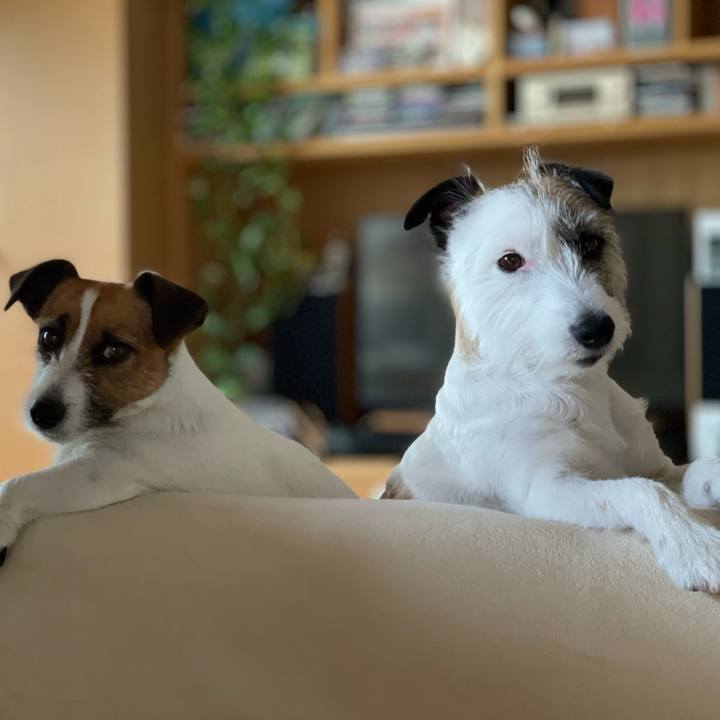 Efae2986 4bfe 4043 9db6 417adf7369d8 1686627039641