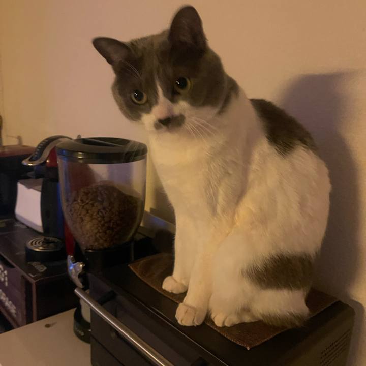 Efae360c 21b3 4c58 a36d 662e17143440 1738882419132