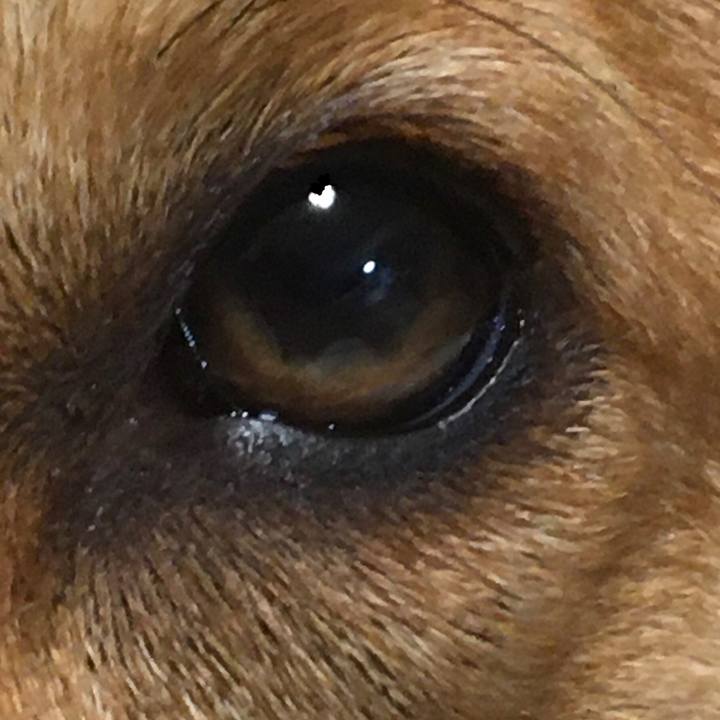 Efae3d3b 1bae 42de a06a 06b4cca9b3d6 1612488995127