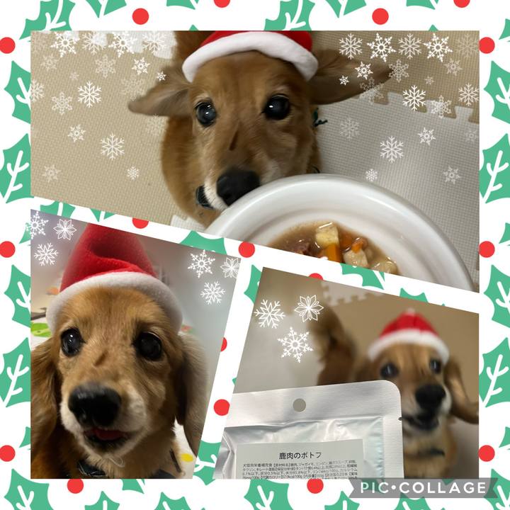 Efae4592 e1be 460d b22e 32f66377d3c5 1640349217441