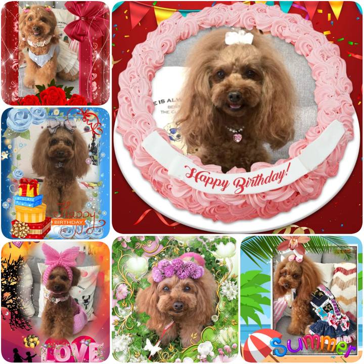 Efae5c20 fd92 4d5a b841 629f9250eabe 1596475774973