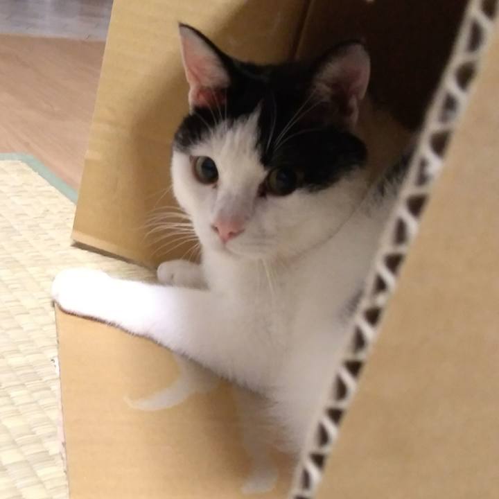 Efaeae56 8af4 44b3 ad3e 7bb603c9309f 1529841149955