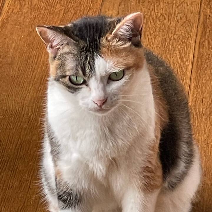 Efaeb27d cffd 468a 898e f282b858aa56 1688453147958